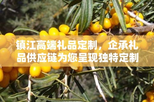 镇江高端礼品定制，企承礼品供应链为您呈现独特定制体验