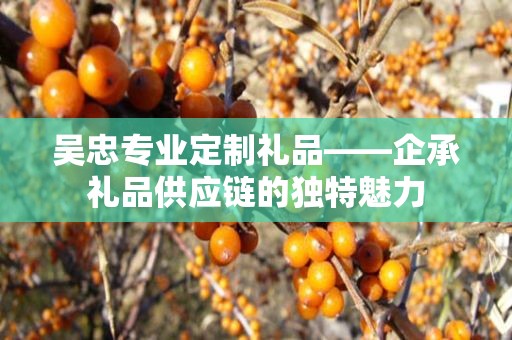 吴忠专业定制礼品——企承礼品供应链的独特魅力