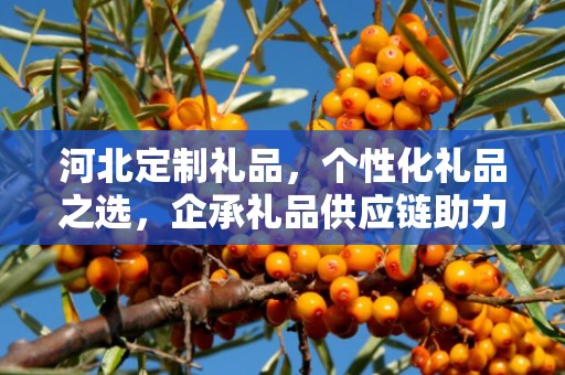 河北定制礼品，个性化礼品之选，企承礼品供应链助力商务往来