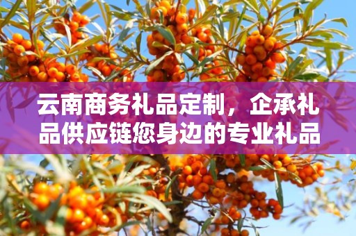 云南商务礼品定制，企承礼品供应链您身边的专业礼品定制公司