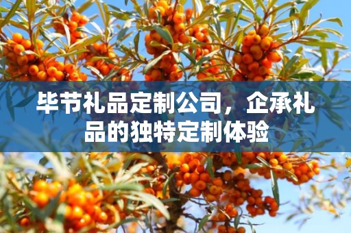毕节礼品定制公司，企承礼品的独特定制体验