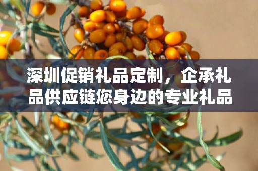 深圳促销礼品定制，企承礼品供应链您身边的专业礼品定制公司