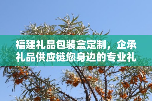 福建礼品包装盒定制，企承礼品供应链您身边的专业礼品定制公司
